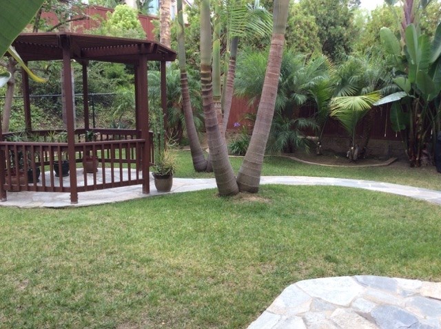 5426 Foxtail Loop Carlsbad, CA 92010 - Photo 12 of 15 a view of a yard with a tree