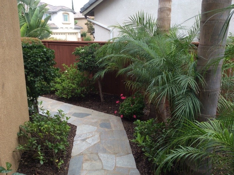 5426 Foxtail Loop Carlsbad, CA 92010 - Photo 13 of 15 a potted plant sitting in front of a house