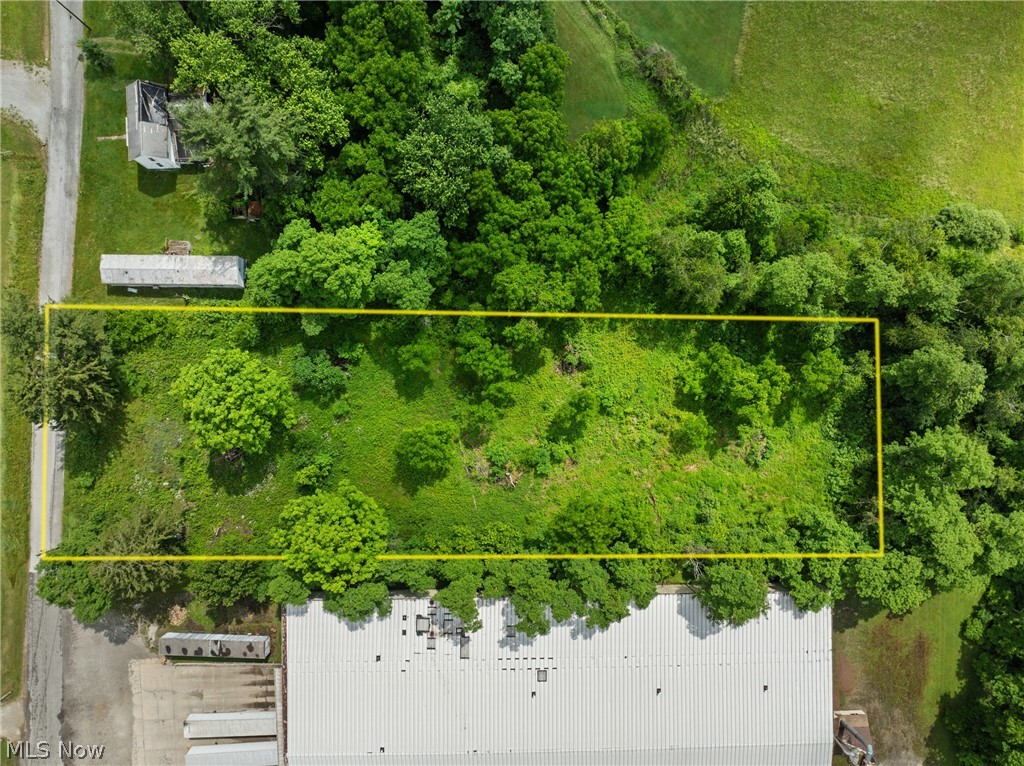 41310 Brown Road Bethesda, OH 43719 - Photo 3 of 10