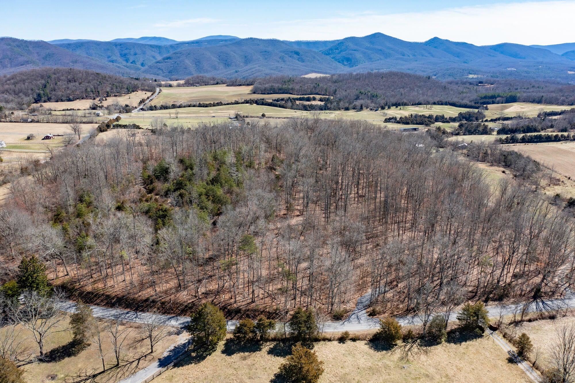 Tbd Timber Ridge Road Fairfield, VA 24435 - Photo 2 of 7 Gallery Image 2