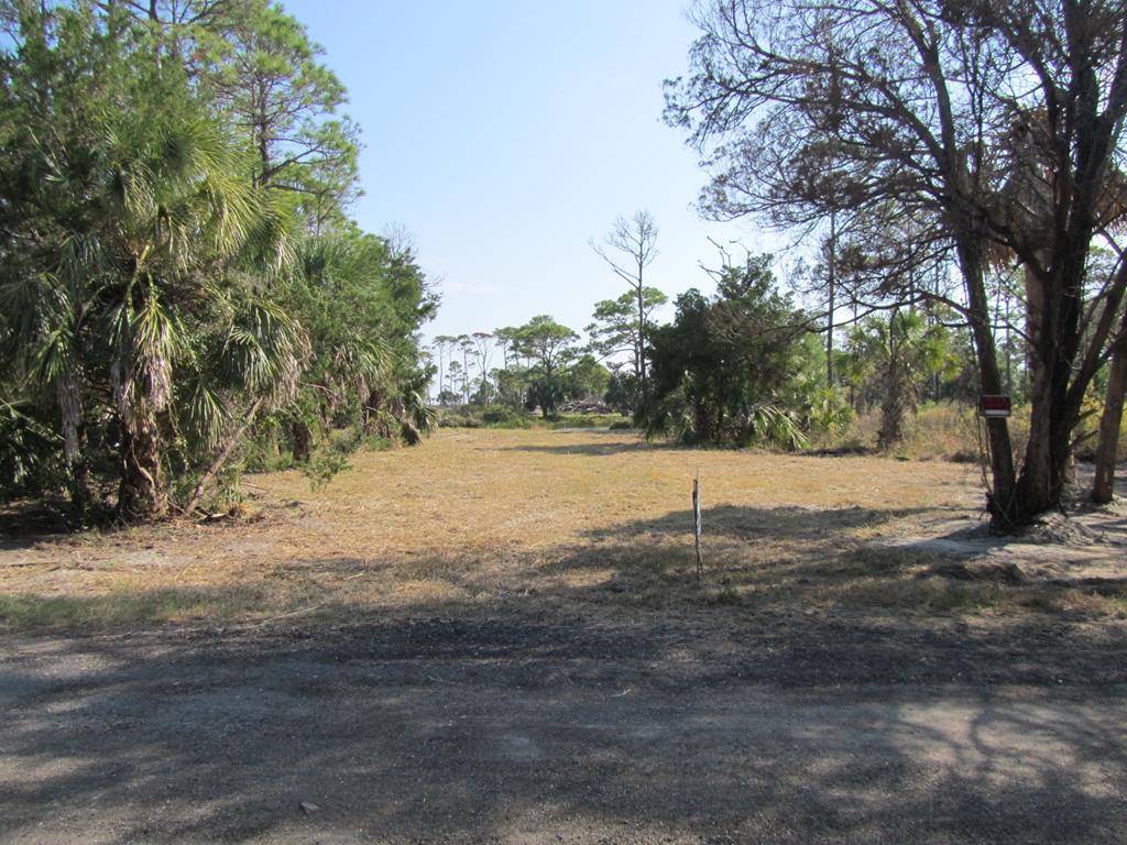 315 Gander Street Eastpoint, FL 32328 - Photo 4 of 23