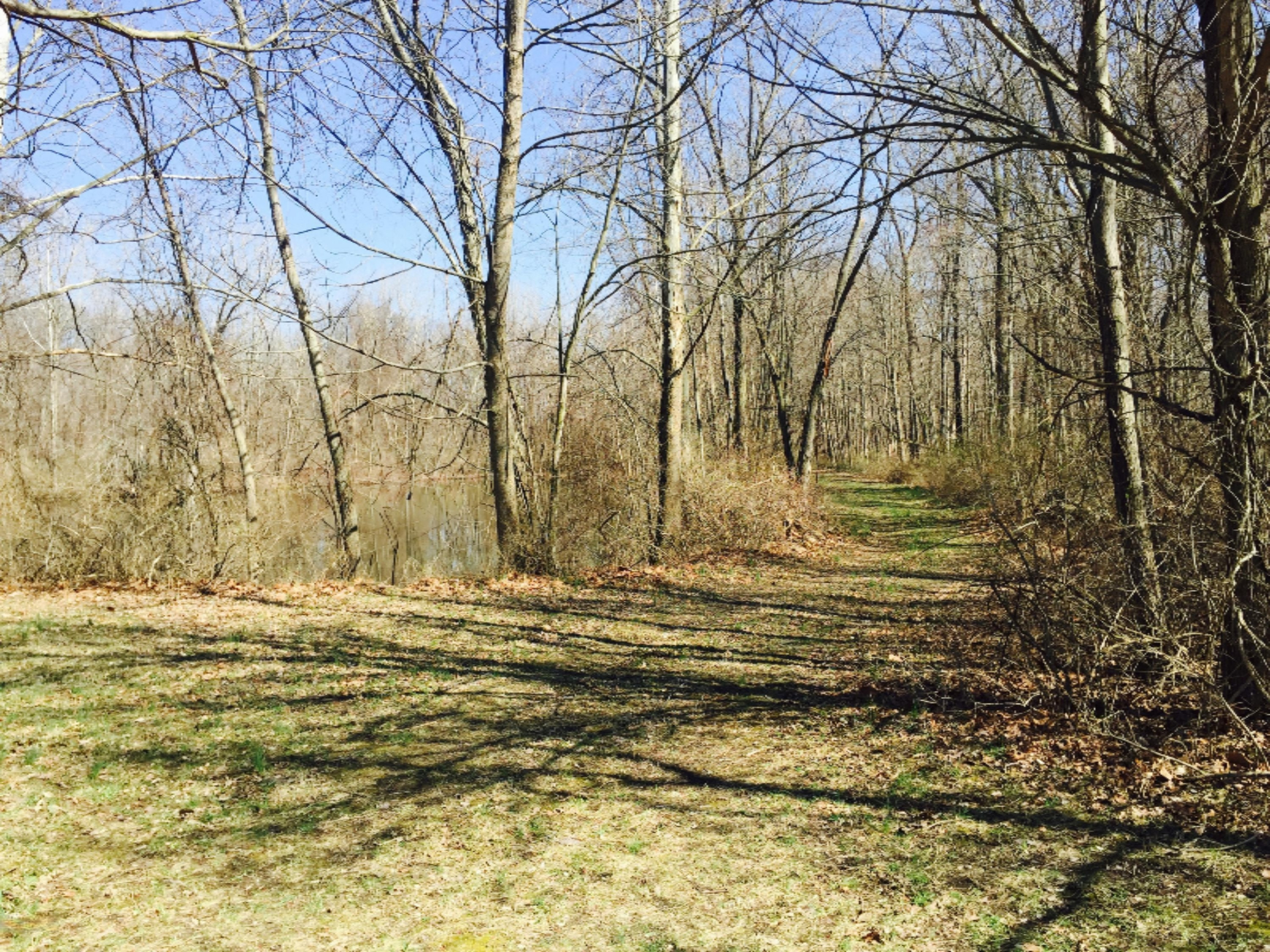 4138 Hanover Road Three Oaks, MI 49128 - Photo 11 of 20 Path
