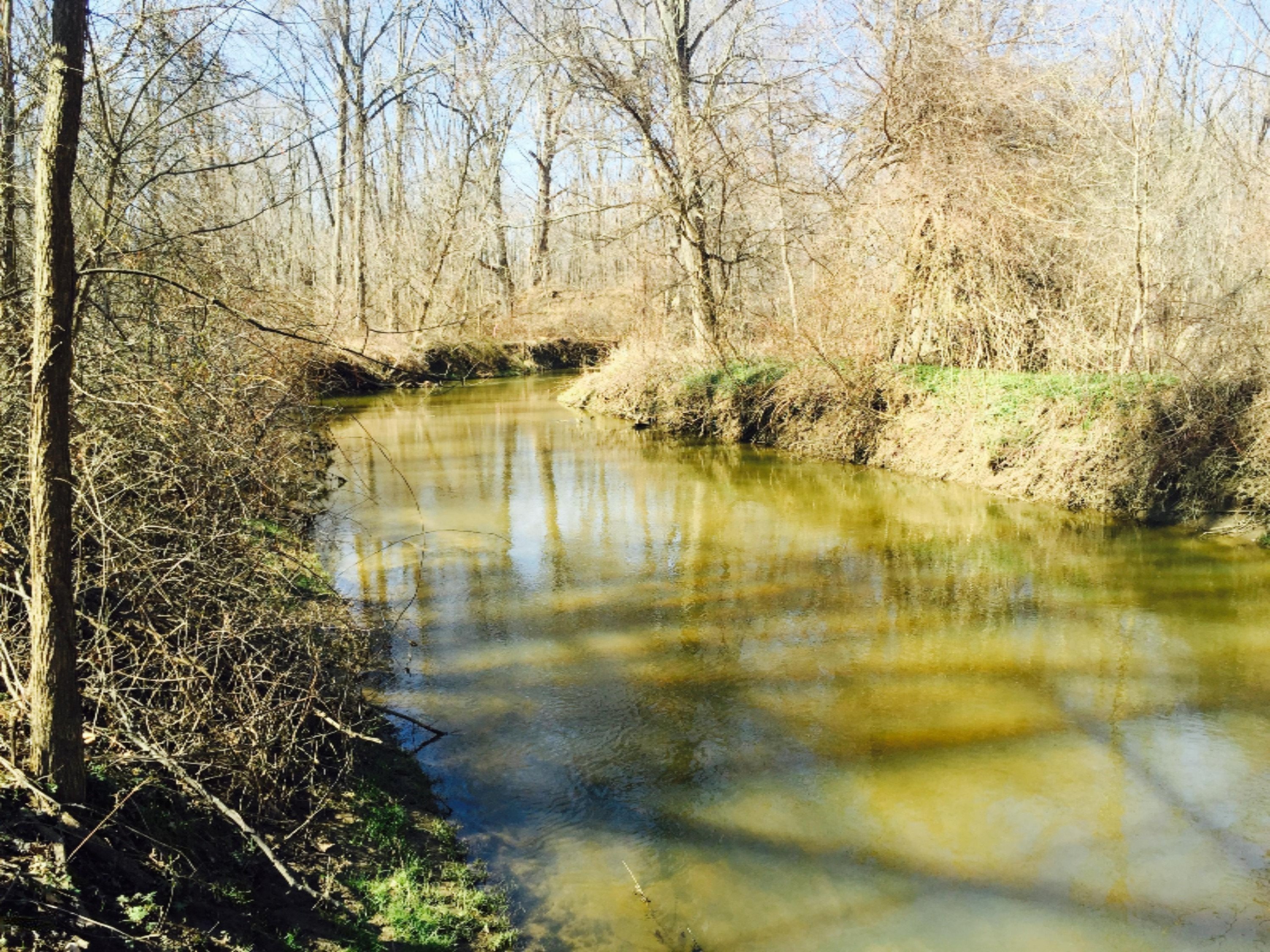 4138 Hanover Road Three Oaks, MI 49128 - Photo 17 of 20 Water6
