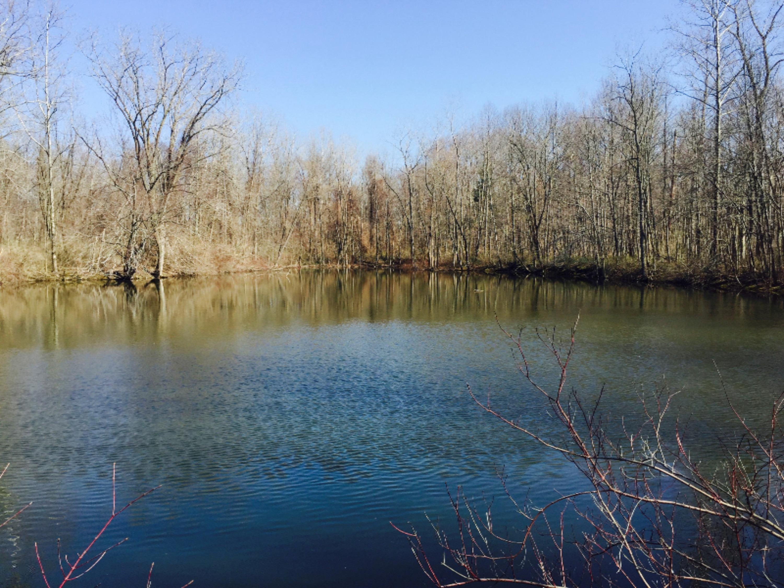 4138 Hanover Road Three Oaks, MI 49128 - Photo 5 of 20 Water7