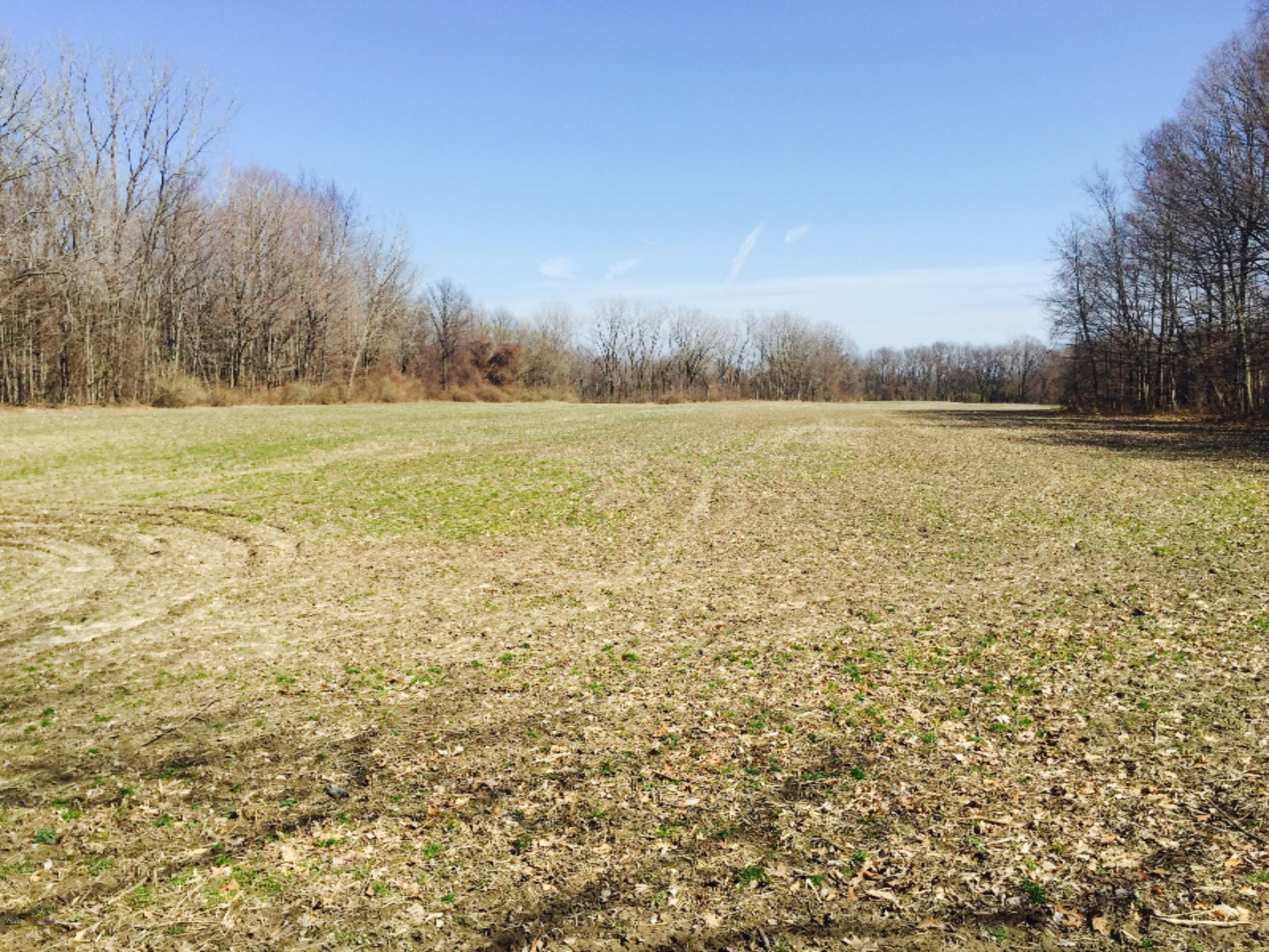 4138 Hanover Road Three Oaks, MI 49128 - Photo 9 of 20 Field