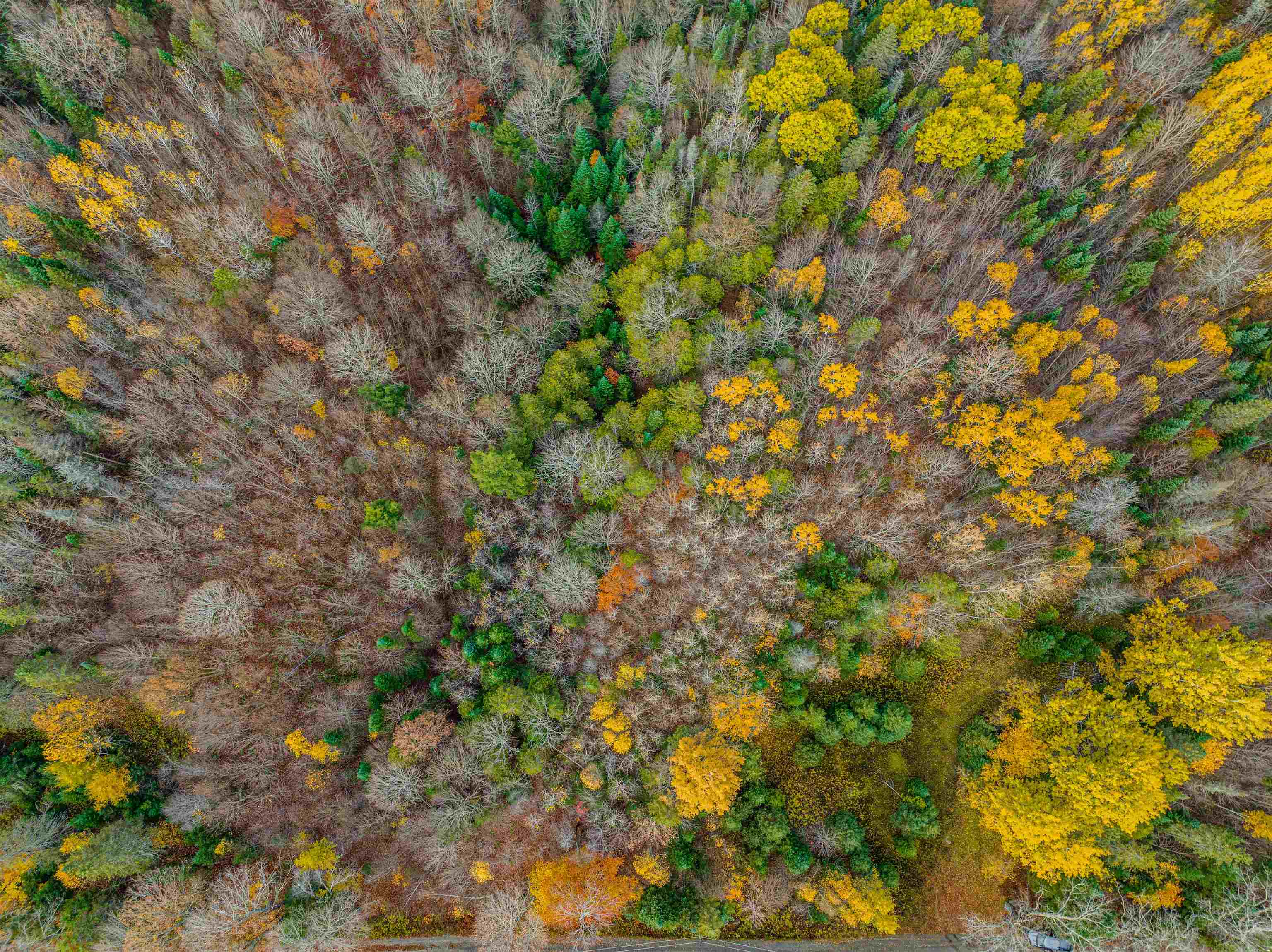 402 Vogan Road Greensboro, VT 05841 - Photo 8 of 18