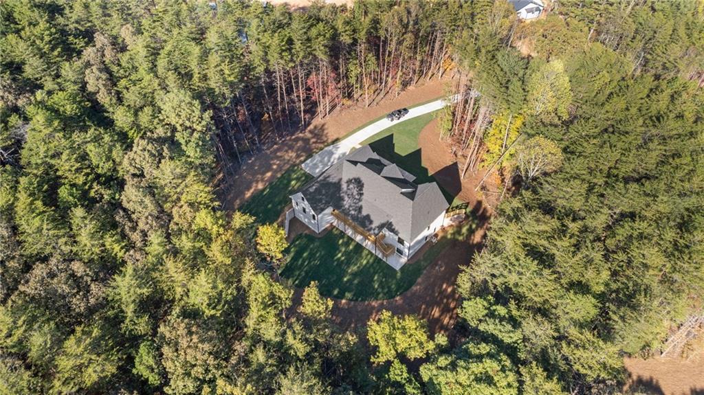 165 Highlands Chase Ball Ground, GA 30107 - Photo 34 of 40 view of a house with a yard