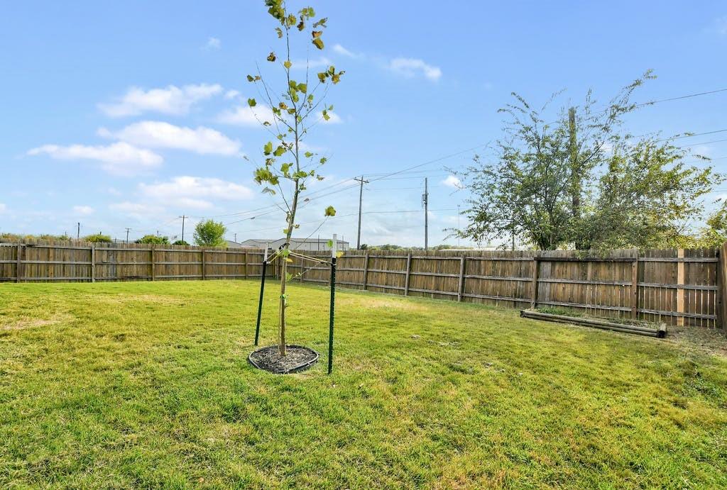 173 Rafe Court Kyle, TX 78640 - Photo 24 of 27 View of fenced backyard