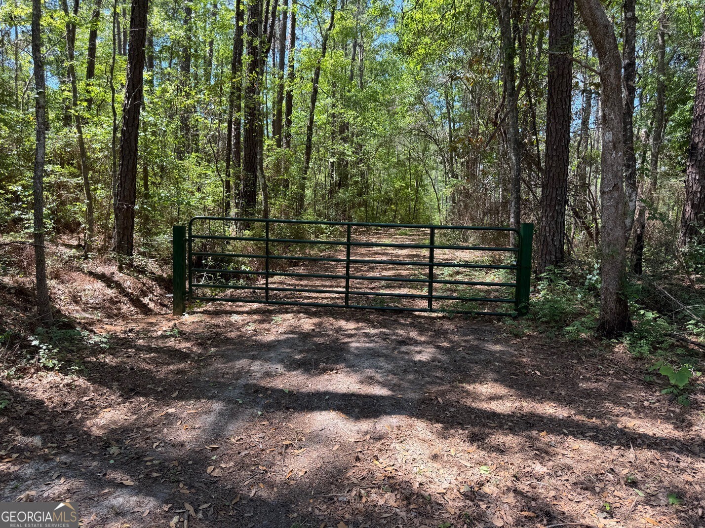 12-acres Collins Road Cairo, GA 39828 - Photo 11 of 12