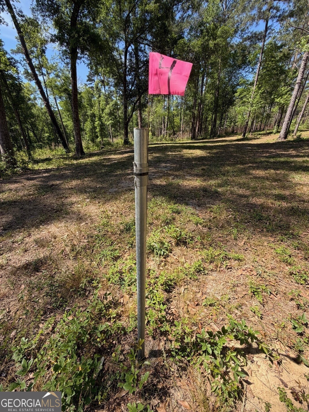 12-acres Collins Road Cairo, GA 39828 - Photo 12 of 12 Perk flag