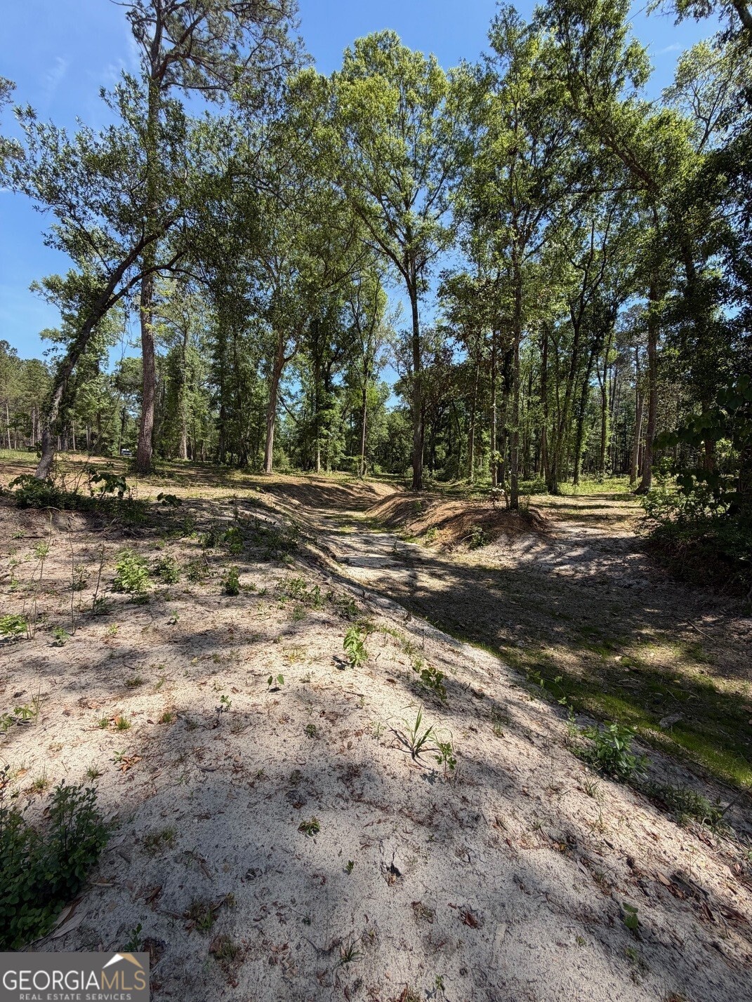 12-acres Collins Road Cairo, GA 39828 - Photo 4 of 12