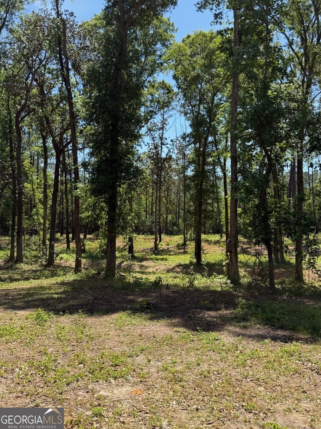 12-acres Collins Road Cairo, GA 39828 - Photo 7 of 12