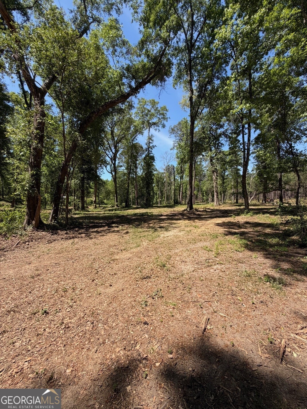 12-acres Collins Road Cairo, GA 39828 - Photo 9 of 12