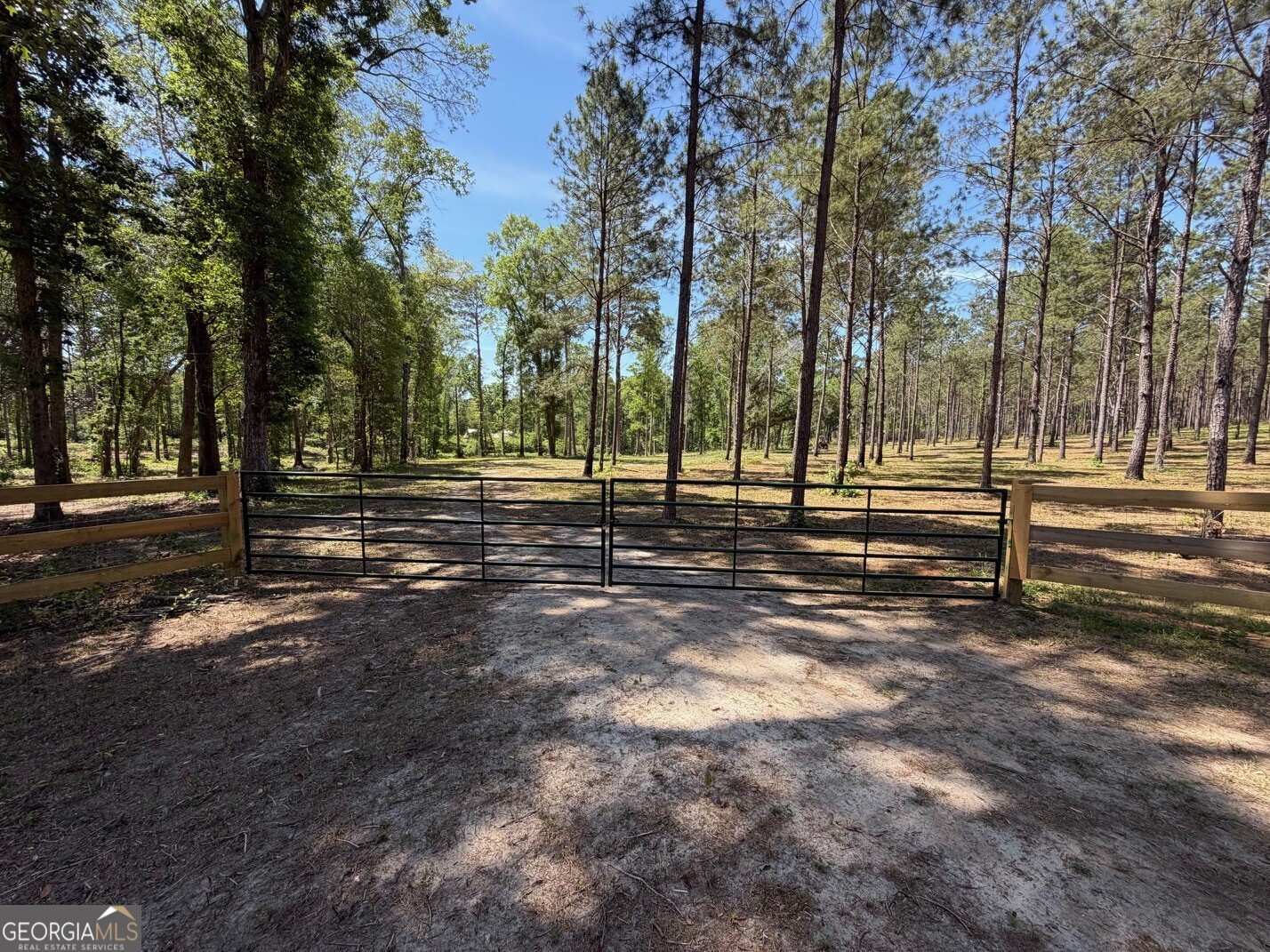 12-acres Collins Road Cairo, GA 39828 - Photo 10 of 12