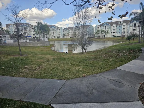 a view of a big yard