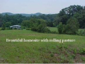 5900 Whitehouse Road Greeneville, TN 37745 - Photo 1 of 9 Photo 1