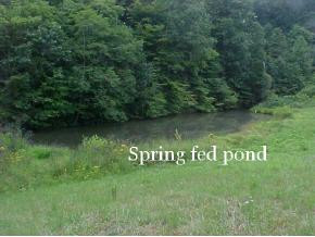 5900 Whitehouse Road Greeneville, TN 37745 - Photo 4 of 9 Photo 4