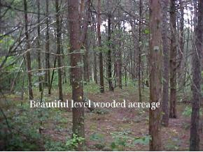5900 Whitehouse Road Greeneville, TN 37745 - Photo 6 of 9 Photo 6