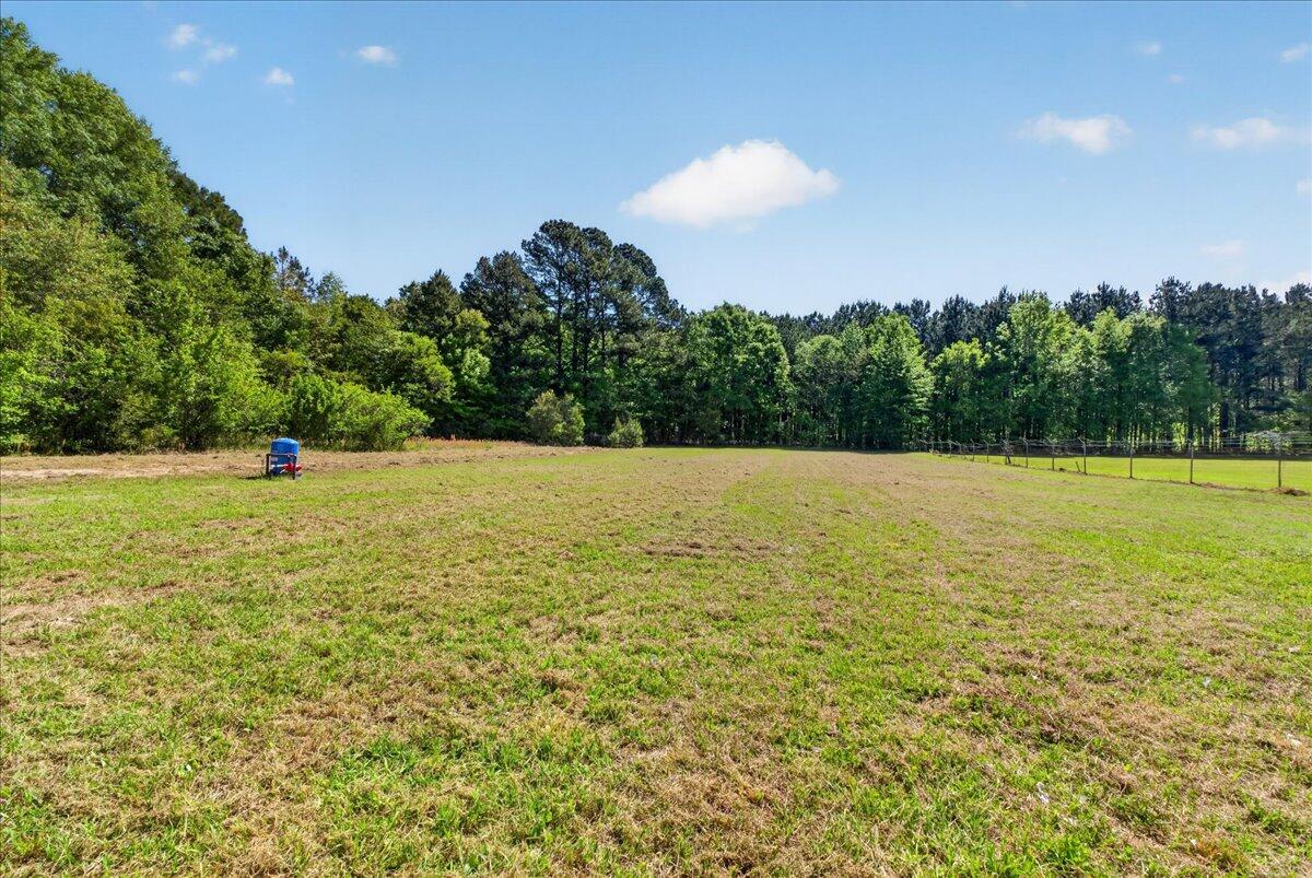 348 Plowground Road Cross, SC 29436 - Photo 39 of 46 38-Taylor Ragusett - DSC01951
