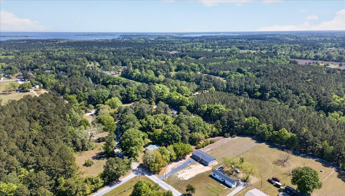 348 Plowground Road Cross, SC 29436 - Photo 46 of 47 44-Taylor Ragusett - DJI_20260409103243_
