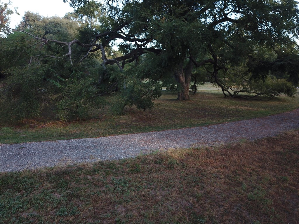 1747 Highway 84 Mexia, TX 76667 - Photo 59 of 72