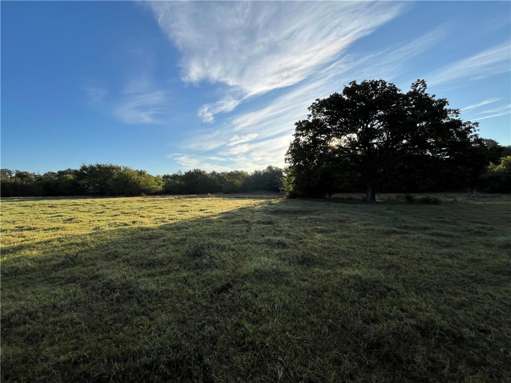 1747 Highway 84 Mexia, TX 76667 - Photo 69 of 72