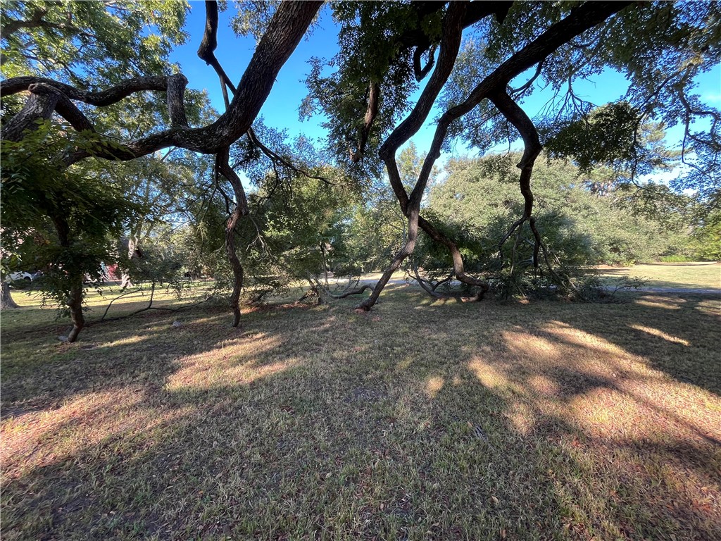 1747 Highway 84 Mexia, TX 76667 - Photo 72 of 72