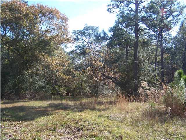 Xx Scott Road, Unit 22 8 ACRES Westville, FL 32464 - Photo 1 of 5 a view of a yard with large trees