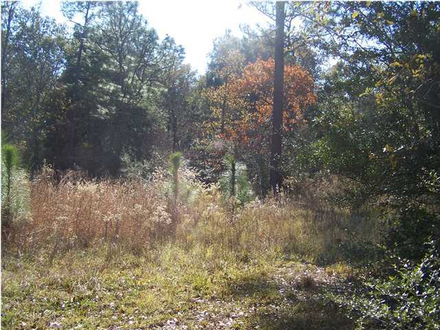 Xx Scott Road, Unit 22 8 ACRES Westville, FL 32464 - Photo 2 of 5 a view of a yard