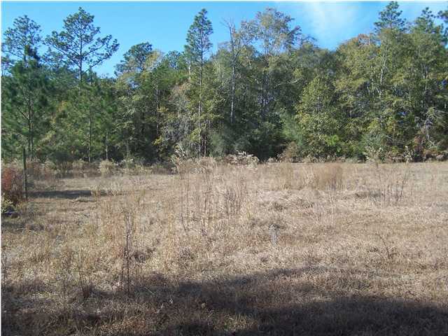 Xx Scott Road, Unit 22 8 ACRES Westville, FL 32464 - Photo 4 of 5 a view of a yard with trees in the background