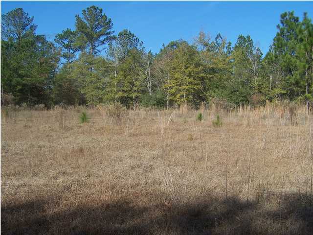 Xx Scott Road, Unit 22 8 ACRES Westville, FL 32464 - Photo 5 of 5 a view of a lake view