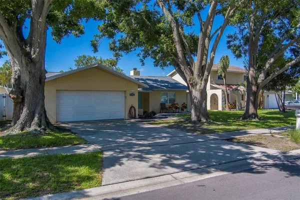 a view of a yard in front of a house with large tree