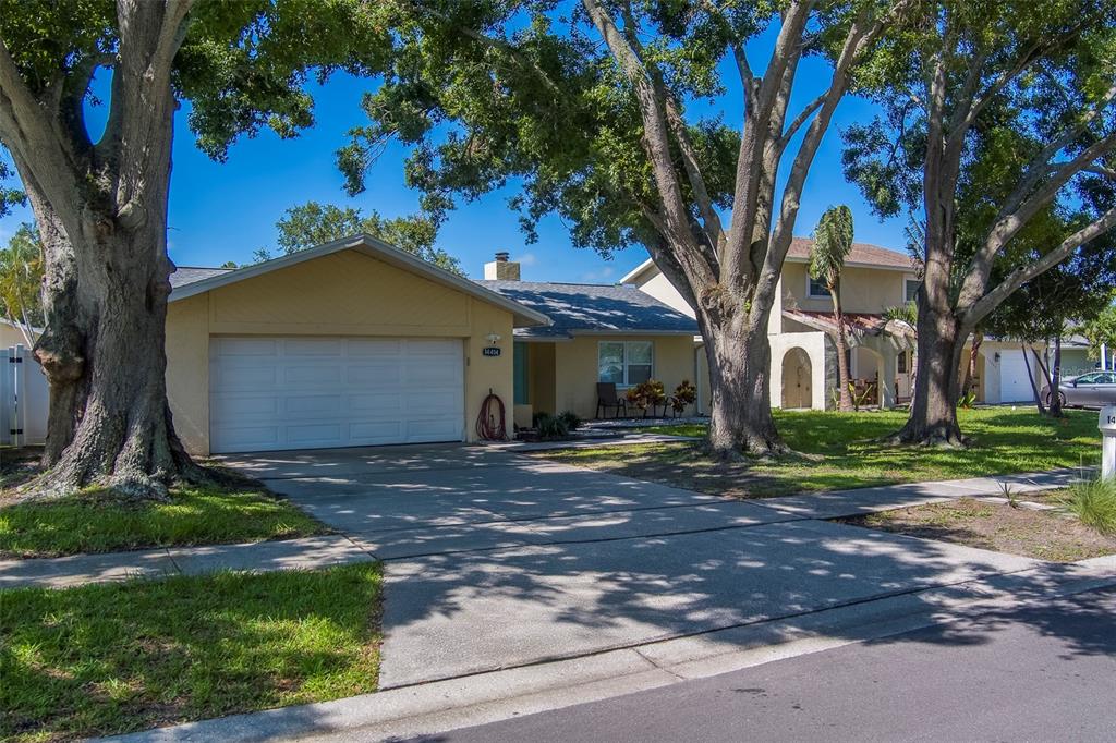 a view of a yard in front of a house with large tree