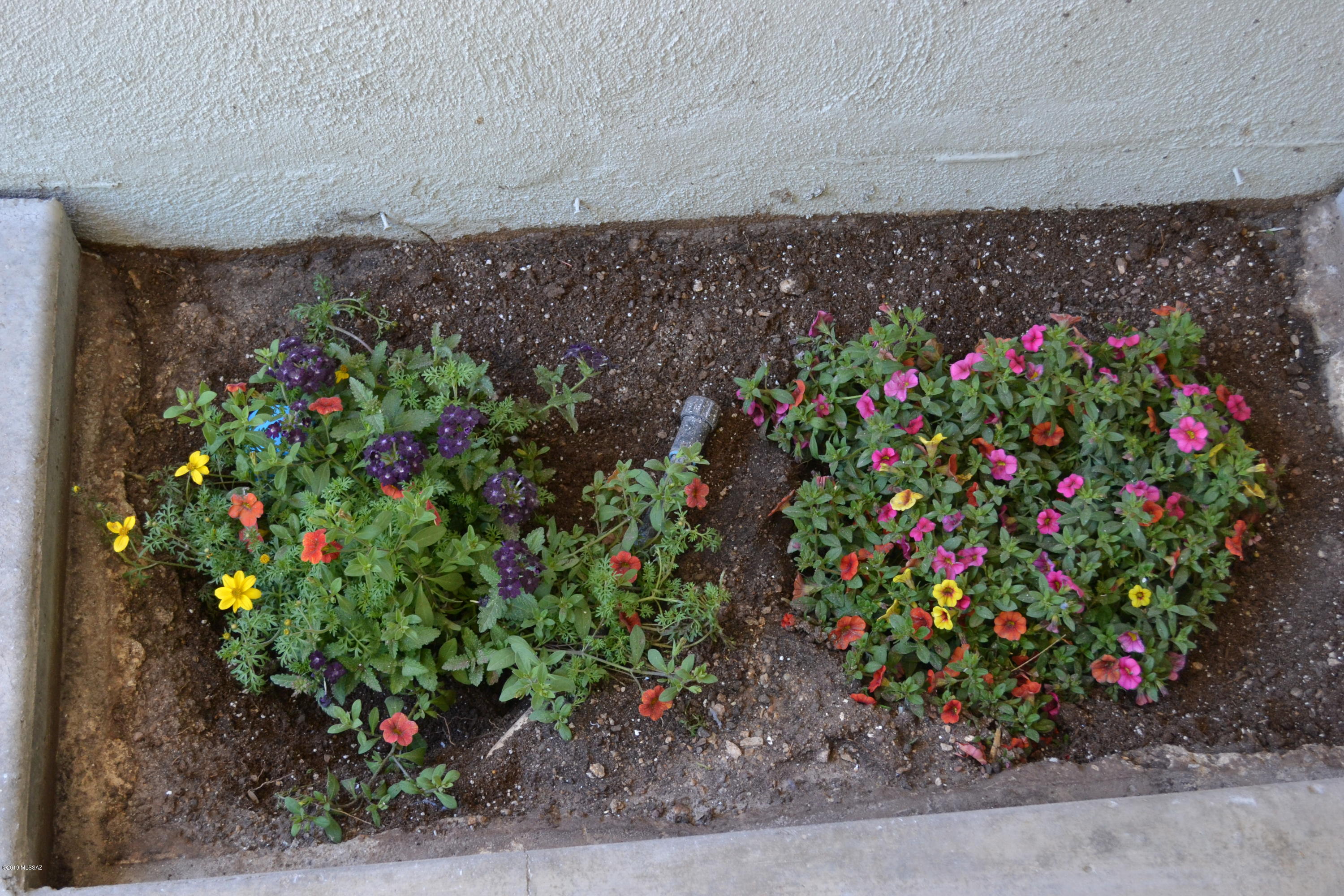 1641 East Spring Street Tucson, AZ 85719 - Photo 37 of 50 Gallery Image 37