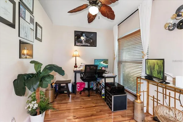 a living room with furniture windows and potted plants