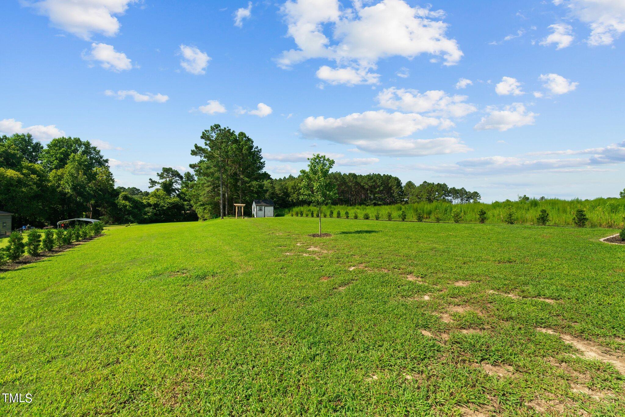 677 Tripp Road Lillington, NC 27546 - Photo 32 of 35 32-web-or-mls-DSC09672