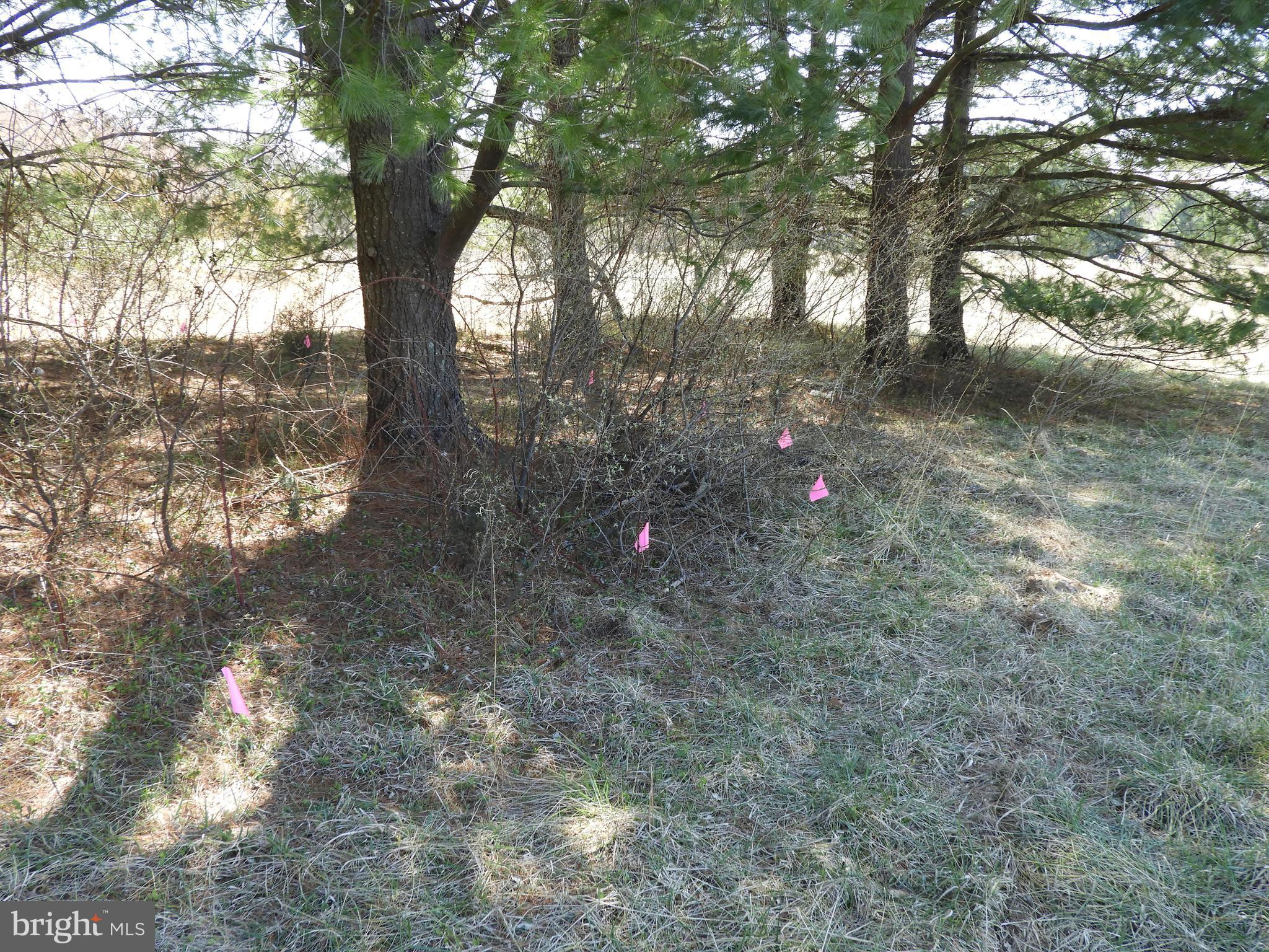 Rodeffer Road Lovettsville, VA 20180 - Photo 5 of 7 View