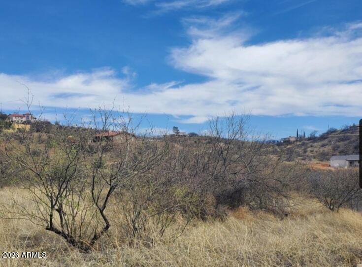 1333 Ginger Court, Unit 70 Rio Rico, AZ 85648 - Photo 1 of 8 an aerial view of houses covered in trees