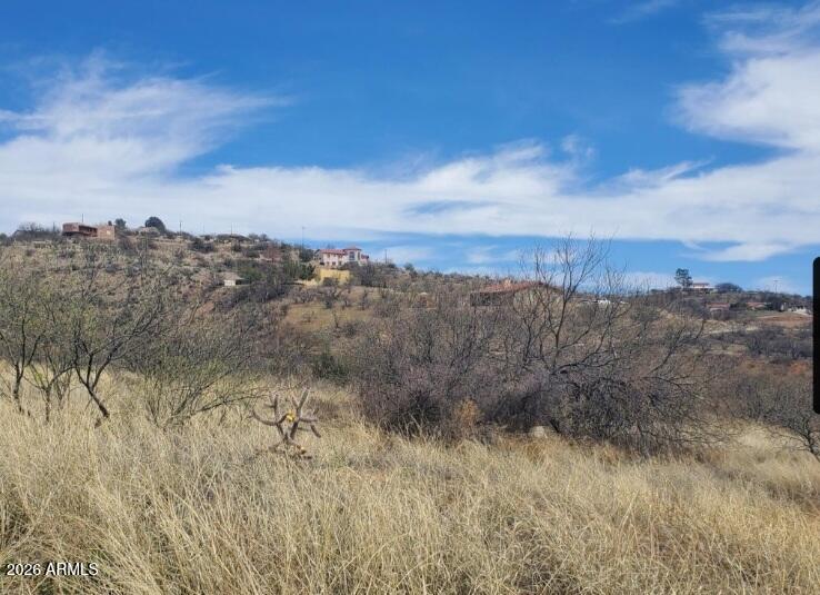 1333 Ginger Court, Unit 70 Rio Rico, AZ 85648 - Photo 2 of 8 a view of a dry yard with large trees