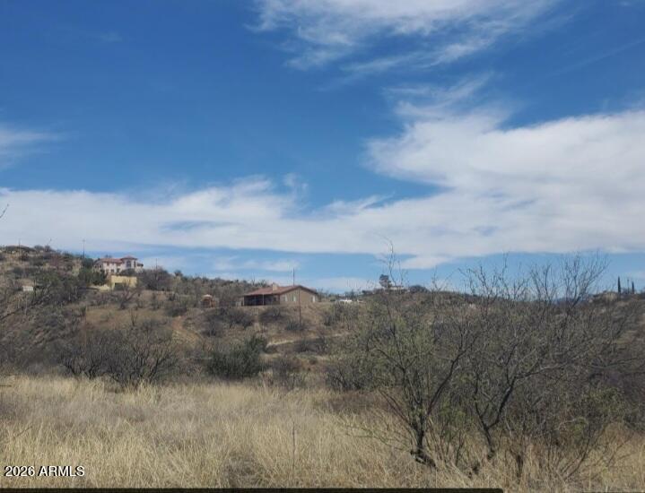 1333 Ginger Court, Unit 70 Rio Rico, AZ 85648 - Photo 3 of 8 a view of a dry yard with trees