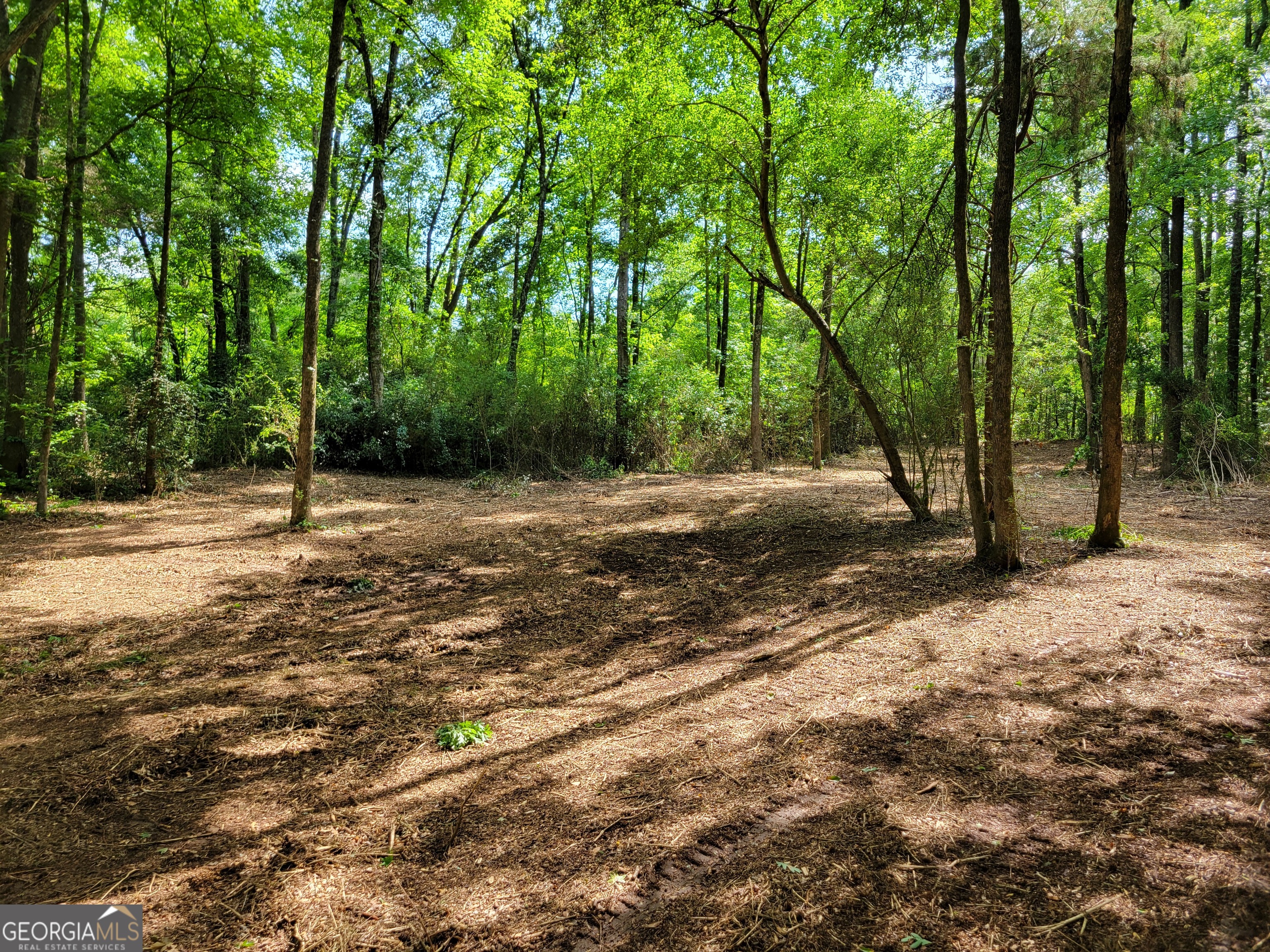 2200 Rest Haven Road Yatesville, GA 31097 - Photo 2 of 6 a view of road with trees