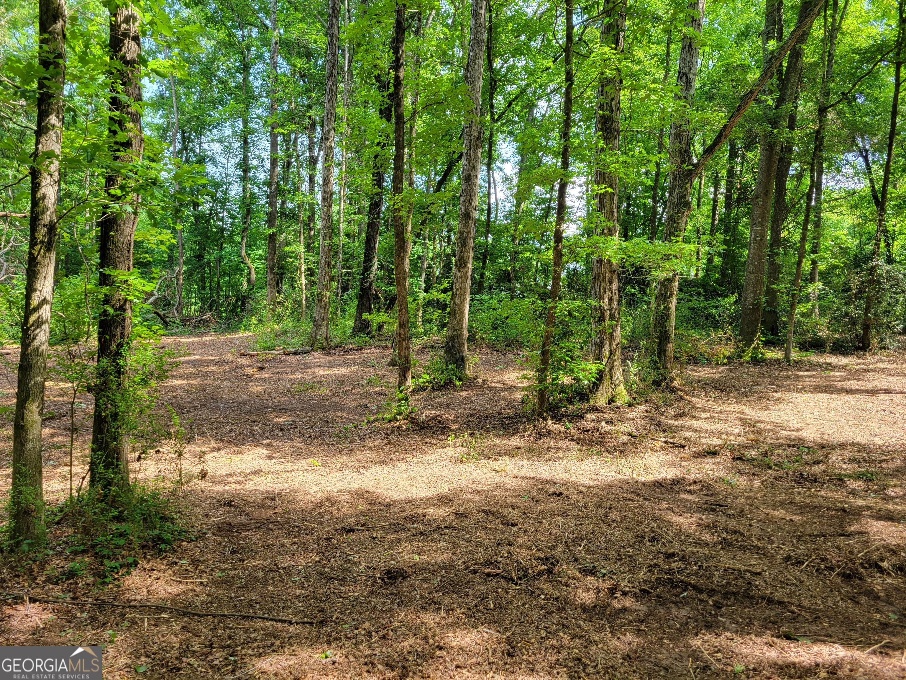 2200 Rest Haven Road Yatesville, GA 31097 - Photo 4 of 6 a view of a yard with plants and trees