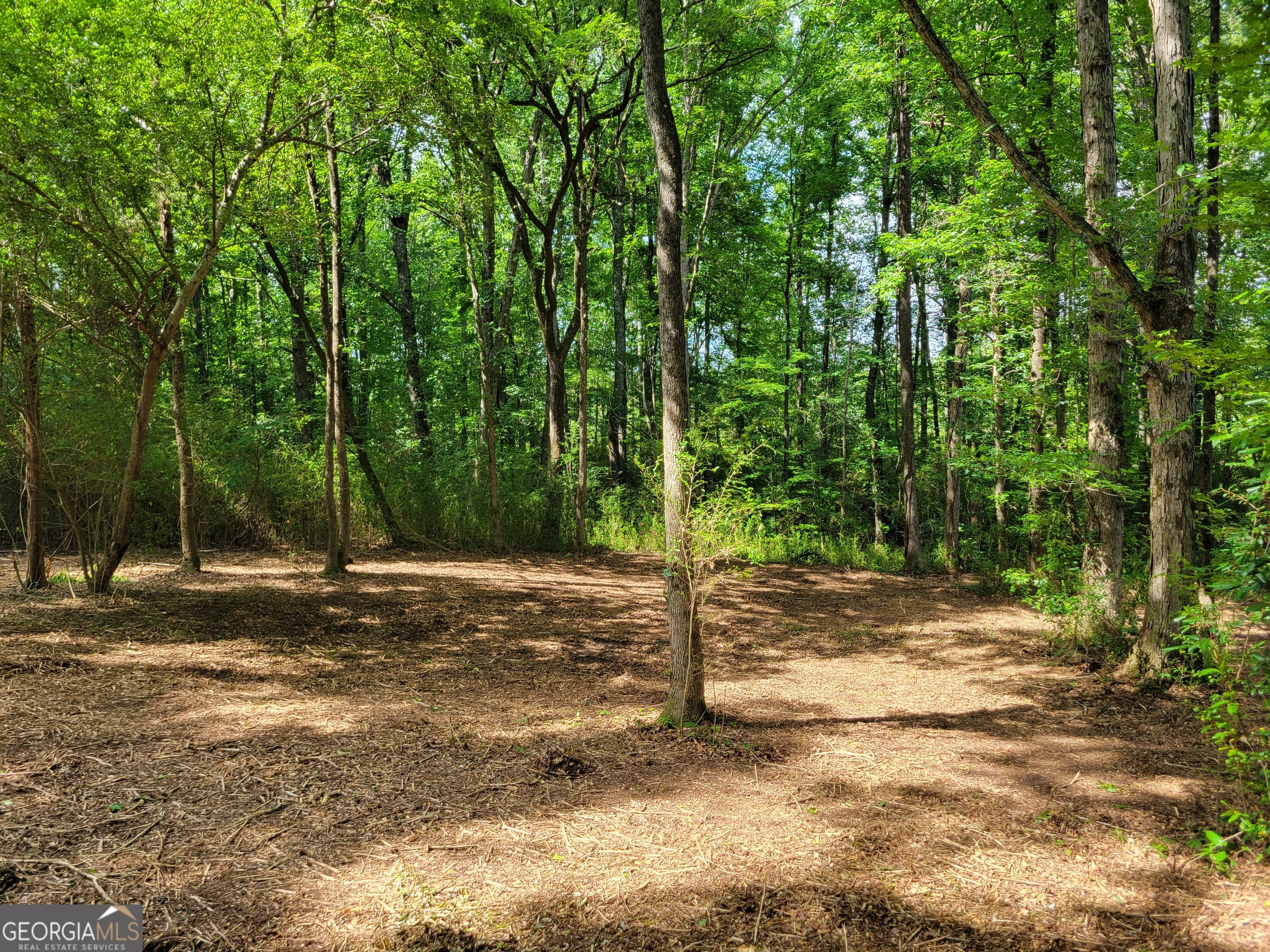 2200 Rest Haven Road Yatesville, GA 31097 - Photo 5 of 6 a view of a yard with a tree
