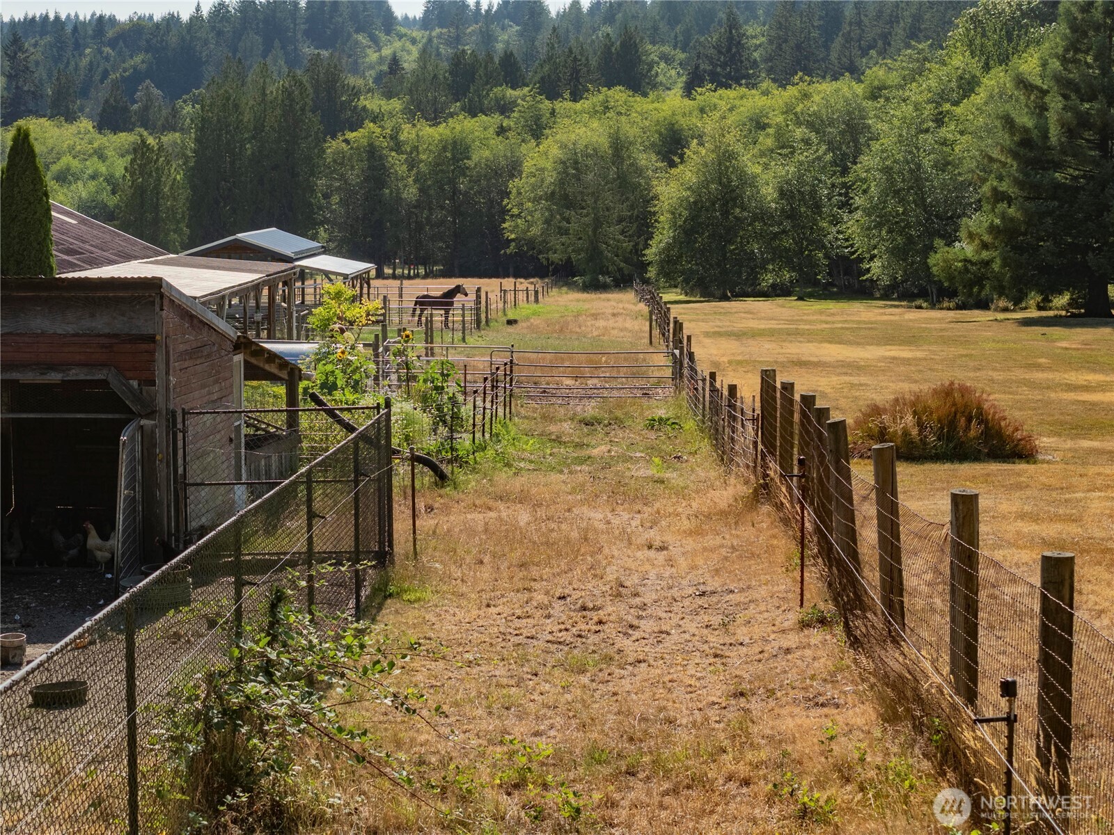 0 Olalla Valley Road Southeast Olalla, WA 98359 - Photo 20 of 23 Gallery Image 20
