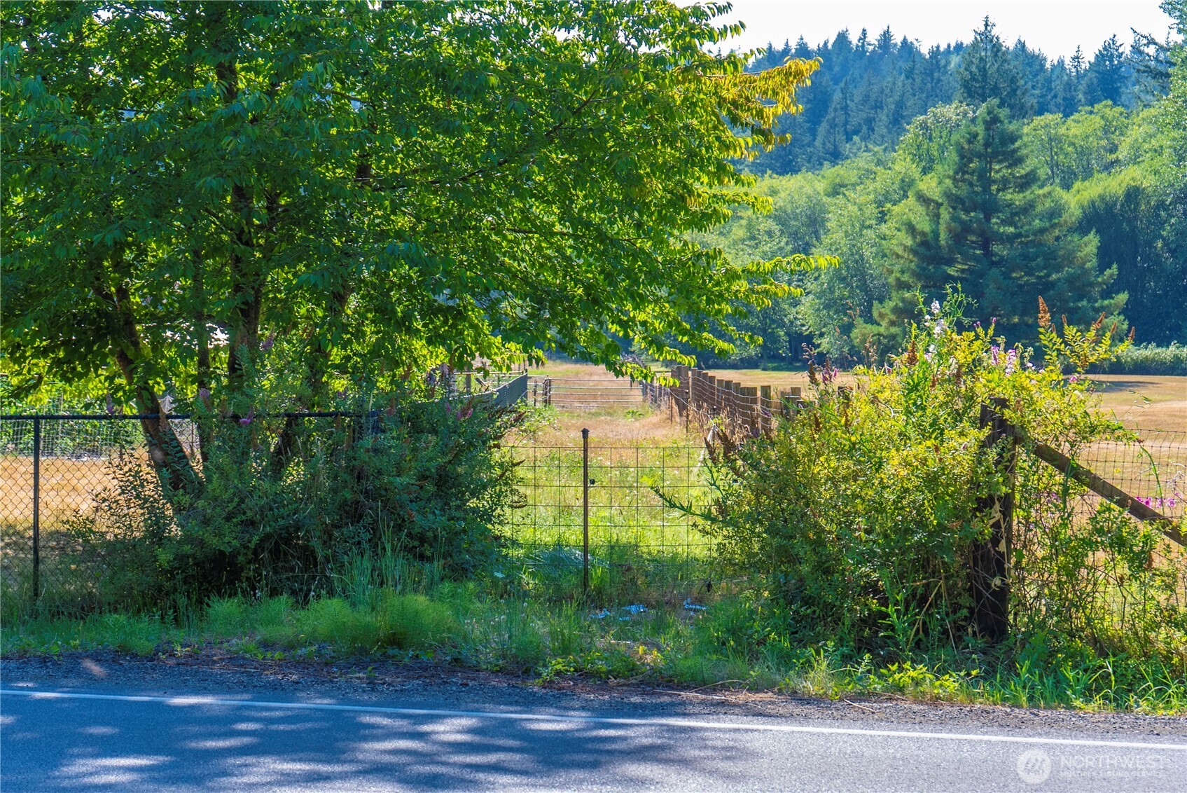 0 Olalla Valley Road Southeast Olalla, WA 98359 - Photo 21 of 23 Gallery Image 21