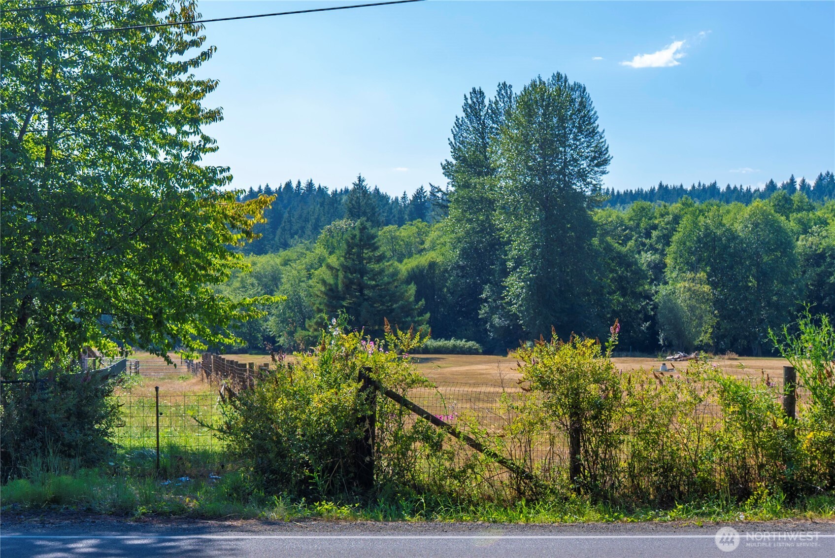 0 Olalla Valley Road Southeast Olalla, WA 98359 - Photo 23 of 23 Gallery Image 23