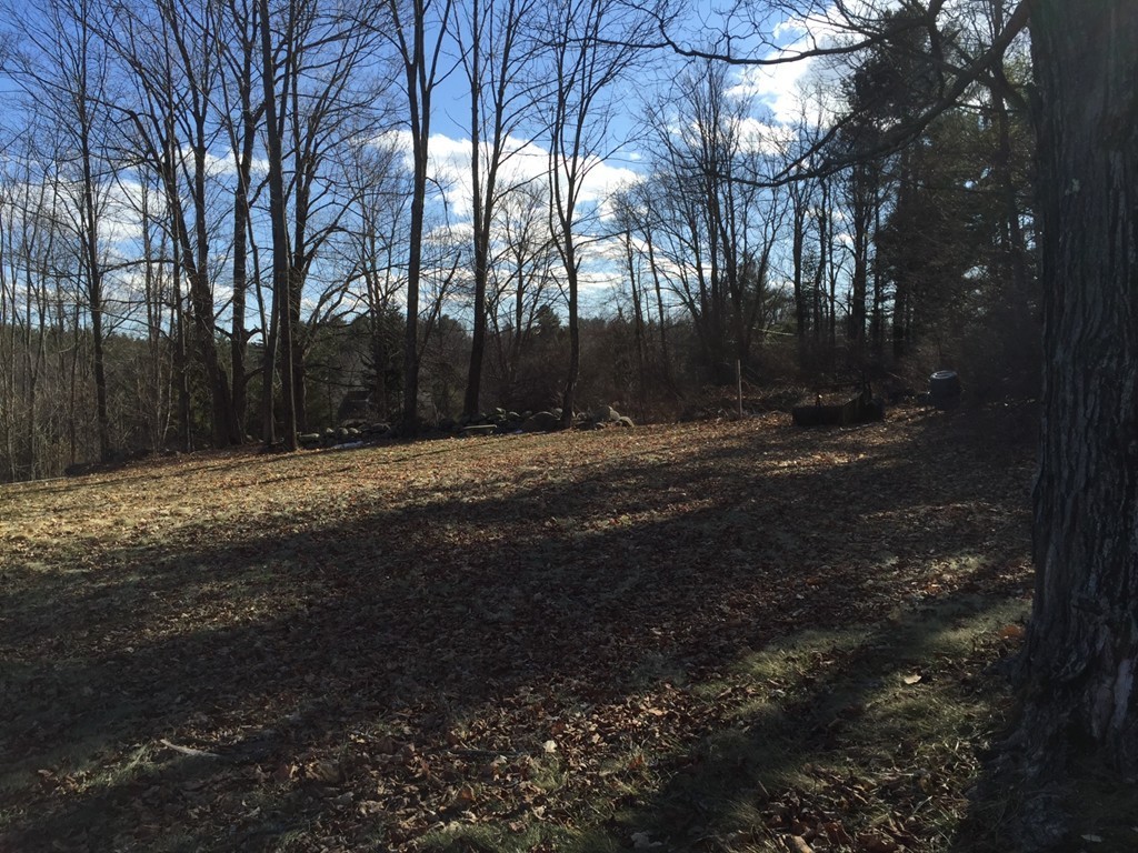7 Wilder Lane Sterling, MA 01564 - Photo 18 of 21 a view of outdoor space with trees