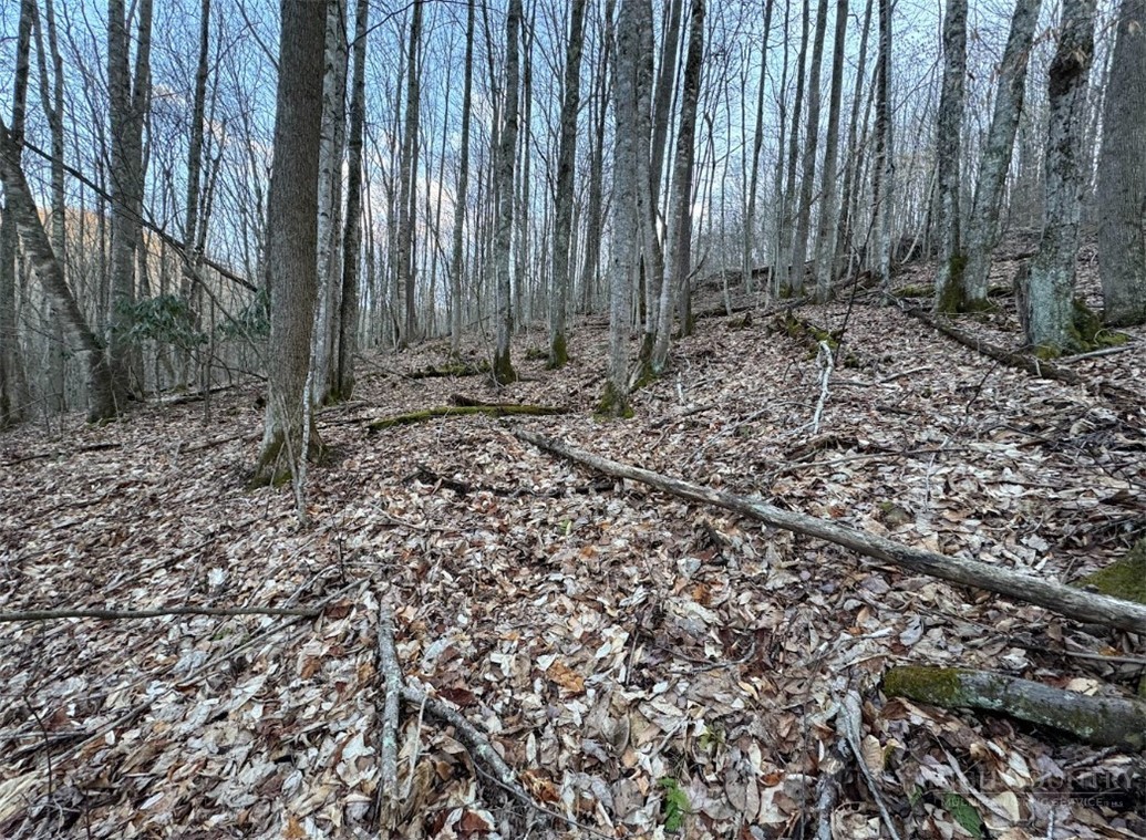 Lot 3 Buckeye Ridge Road Beech Mountain, NC 28604 - Photo 3 of 6 a view of a backyard with pathway