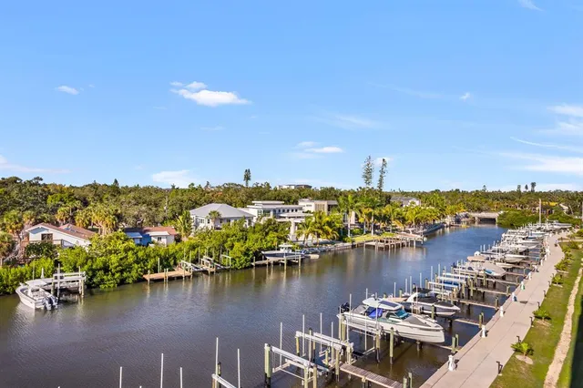 a potted plant sitting in front of a building