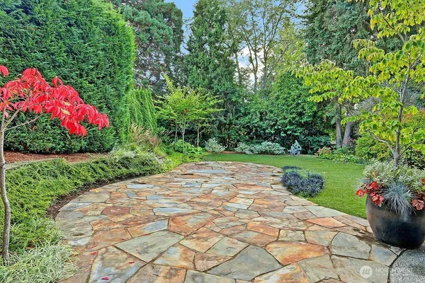 a small garden covered with tall trees